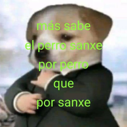 PERRO SANXE