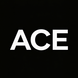 ACE China Team*中国ACE邮政车队's VTC logo