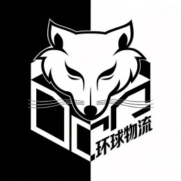 『中国DCG环球物流』