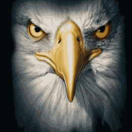Bird's Nest Trucking Inc.
