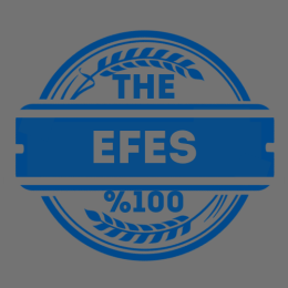 - THE EFES™ -'s VTC logo