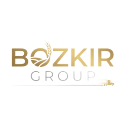 Bozkır Group™'s VTC logo