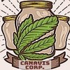 CANAVIS CORP