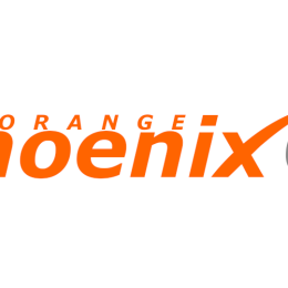 orange phoenix group